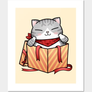 Cat Gift Box Posters and Art